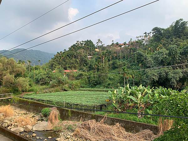 鹿谷平價住宿｜南投鹿谷-錢園花苑住宿，臨小半天、溪頭民宿可賞螢賞櫻，近益品美術館