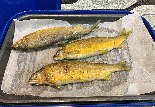電烤盤烤香魚.jpg 電烤盤烤香魚.jpg