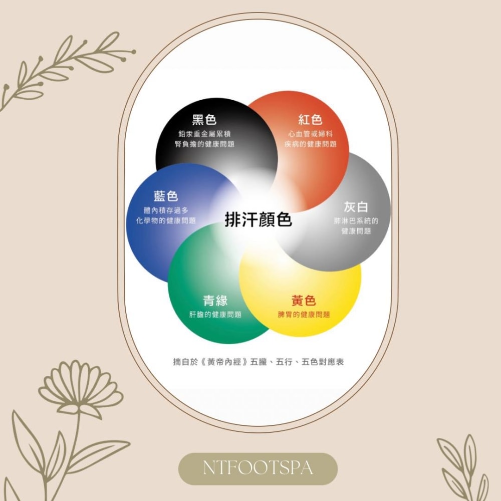 台中蒸足推薦|恩堤蒸足屋體驗,幫助代謝更健康,超夯足蒸養生保健法 - 第22張圖 台中蒸足推薦|恩堤蒸足屋體驗,幫助代謝更健康,超夯足蒸養生保健法