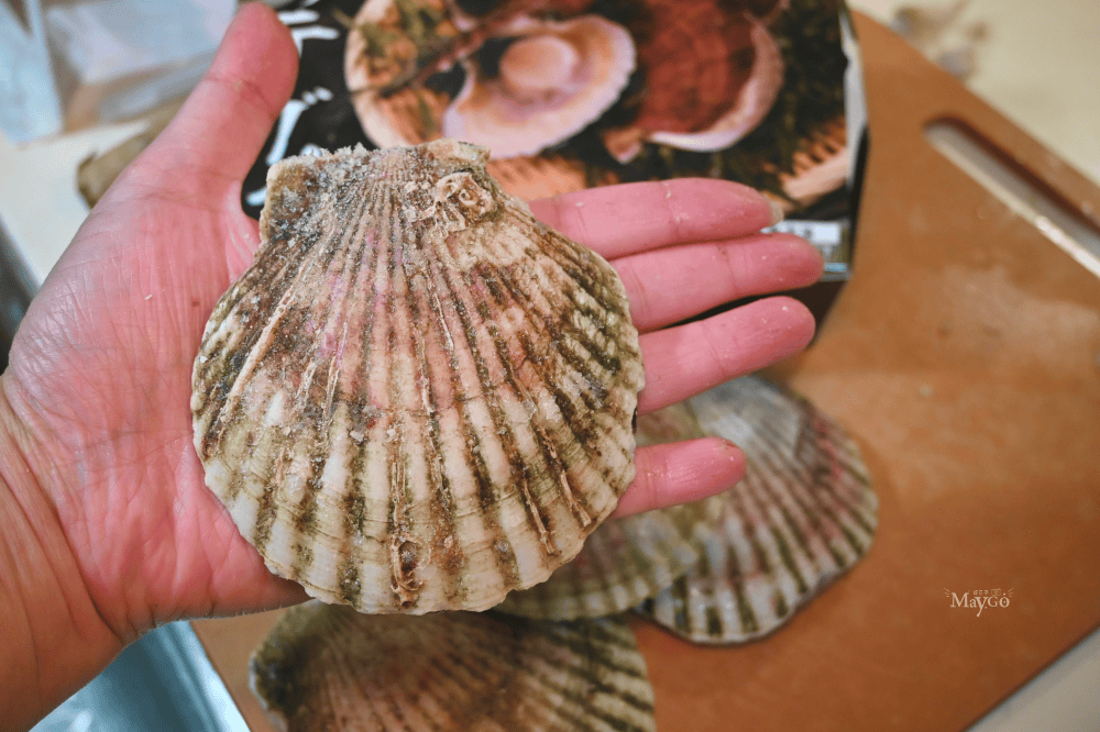 魚有王X姐夫嚴選|鮪魚鍋貼、鮪魚肉圓、日本北海道扇貝、新鮮冷凍水產 - 第3張圖 魚有王X姐夫嚴選|鮪魚鍋貼、鮪魚肉圓、日本北海道扇貝、新鮮冷凍水產
