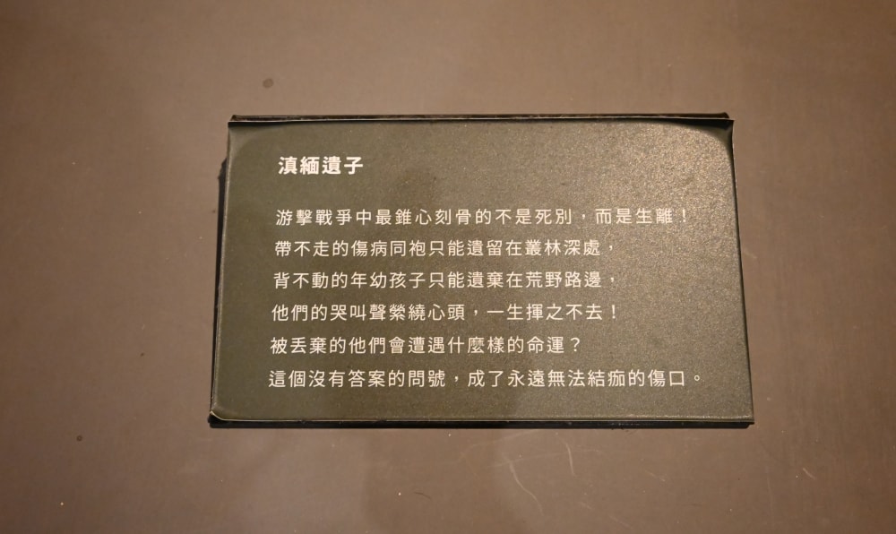 桃園免費景點｜忠貞新村-異域故事館，深度導覽亞細亞孤兒故事