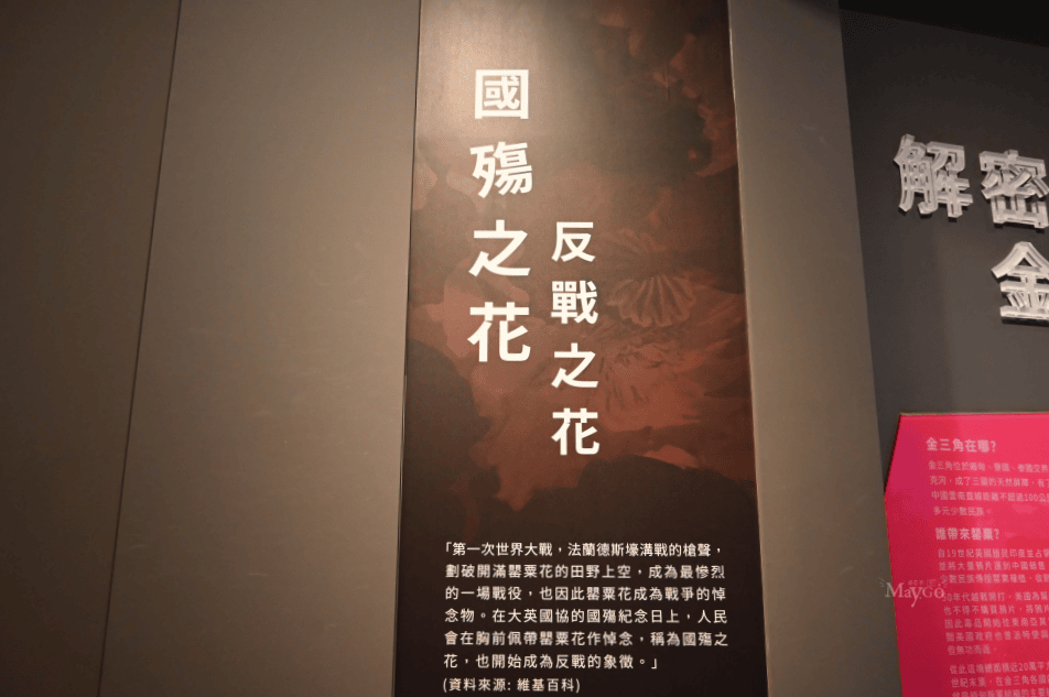 桃園免費景點｜忠貞新村-異域故事館，深度導覽亞細亞孤兒故事